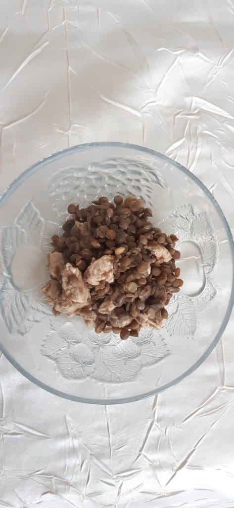 Lentilles vertes avec des morceaux de dinde